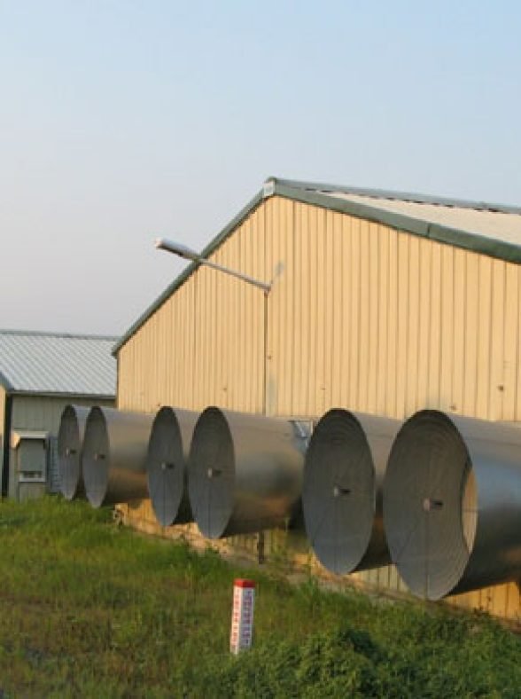 poultry-farm-shed